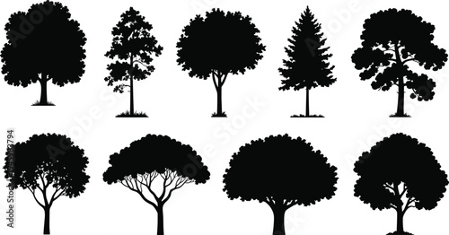 Tree silhouette set, forest trees collection, oak pine woodland nature vector illustration botanical icons isolated black landscape design
