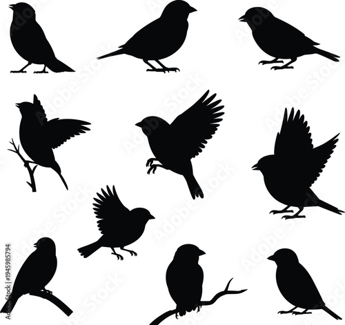 Small bird silhouettes vector set, flying and perched songbirds collection, black wildlife nature bird shapes isolated, flat vector illustration