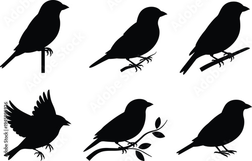Small bird silhouettes vector set, perched and flying songbirds collection, black wildlife nature bird shapes isolated, flat vector illustration