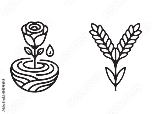 Minimalist Line Art of Rose and Wheat Ear Vector Illustration