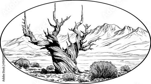 A grayscale ink illustration of an oval-framed desert landscape, featuring a gnarled tree and mountains