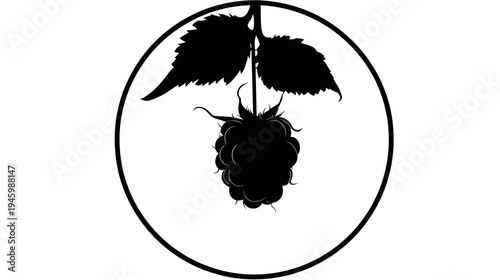A black silhouette of a berry, with leaves, in a circle. Simple and elegant design