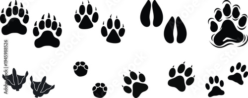 a collection of various kinds of animal footprints.Paw prints icon set. Bull cow pig wolf goat rooster bison and fox paw prints.animal paw print paw print silhouettes cat tiger lion dog fox bear