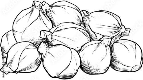 A black and white illustration shows a collection of tied-up onion bulbs