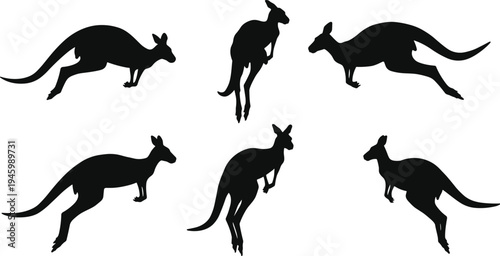 Kangaroo silhouette, jumping kangaroo, wildlife icon, animal motion, black kangaroo shape, marsupial pose, nature symbol, isolated kangaroo, vector animal, dynamic leap