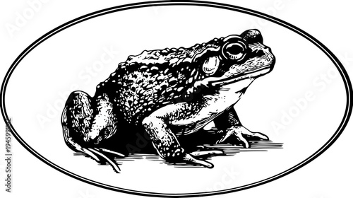 An isolated, detailed illustration of a toad, enclosed in a rounded frame. Monochrome art