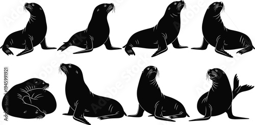 Collection, of, seal, silhouettes, in, various, poses, including, sitting, barking, and, resting, isolated, black, vector, illustration, icons, for, marine, design,