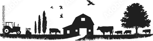 Farm landscape silhouette, rural barn house, agricultural tractor vehicle, grazing cows, cattle livestock, country trees, birds flying, nature field vector art,