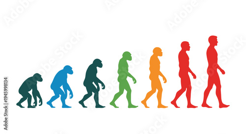 Human Evolution Timeline: Colorful Silhouettes from Ape to Man