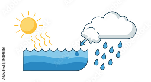 Sun heats ocean water causing evaporation, then rain falls from a cloud