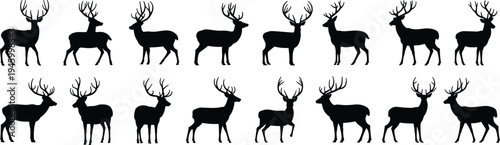 Silhouettes of deer with antlers in side profile poses, wildlife vector illustration for hunting, nature, rustic design, emblem, art, decoration