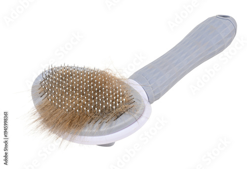 Fotografía Gray pet slicker brush with ergonomic handle and metal teeth filled with combed