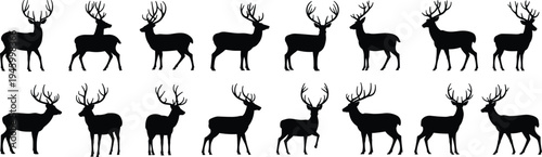 Silhouettes of deer with antlers in multiple poses, wildlife vector illustration for hunting, nature, rustic design, emblem, art, decoration