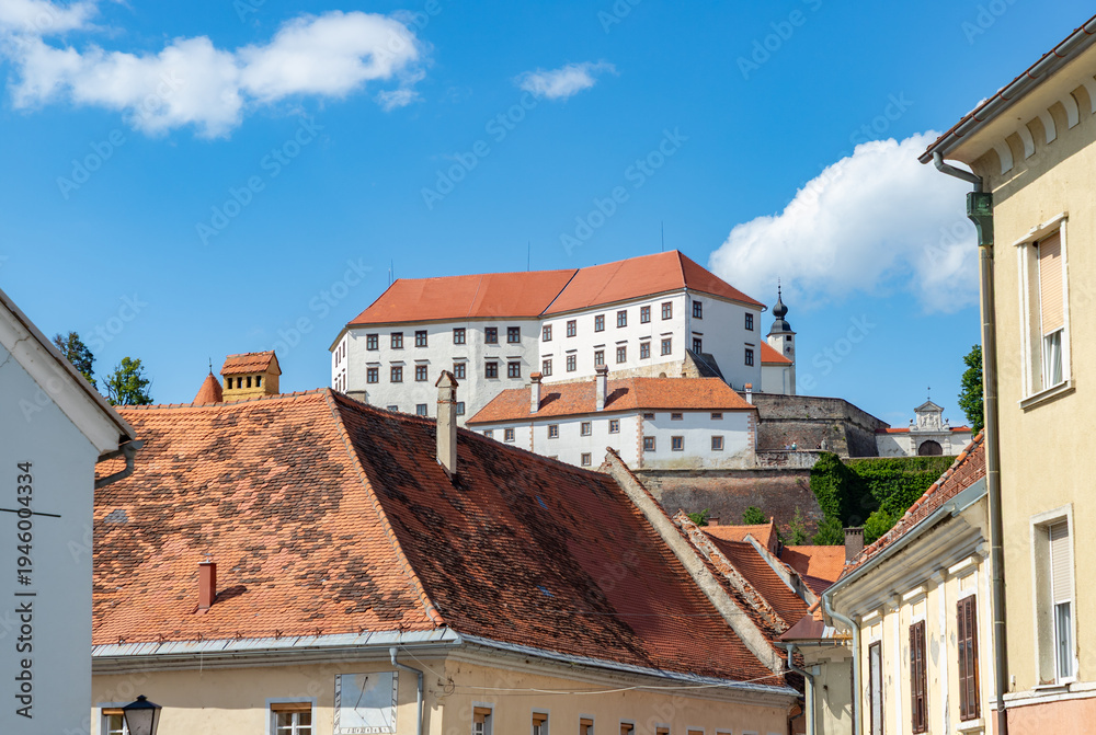 Obraz premium Ptuj Castle