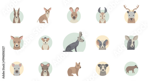 Collection of various animal faces and heads.