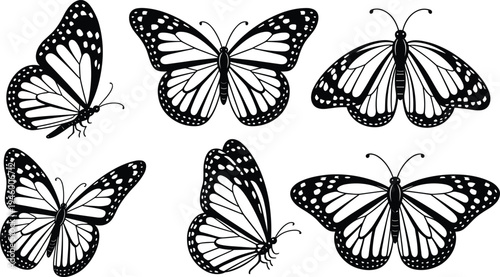 Black and white butterfly illustrations, diverse wing patterns, symmetrical insect drawings, entomology design, decorative art, educational nature reference