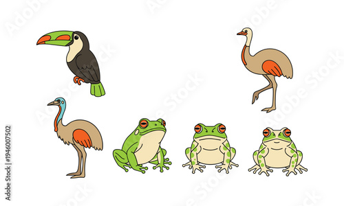 A colorful illustration featuring birds and frogs from various regions