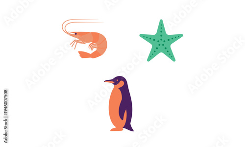 Antarctic marine life illustration featuring a shrimp, starfish, and penguin
