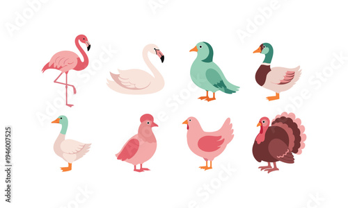 A colorful collection of seven different types of waterfowl and birds