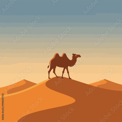 Camel on desert sand dune.