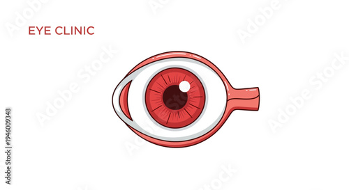 Medical Illustration Of A Human Eye Displaying Vision, Ophthalmology, and Eye Clinic Concept