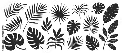 Black and white seamless floral leaf pattern with tropical foliage and branches vector design