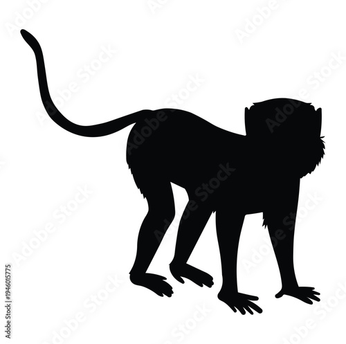 Monkey vector.