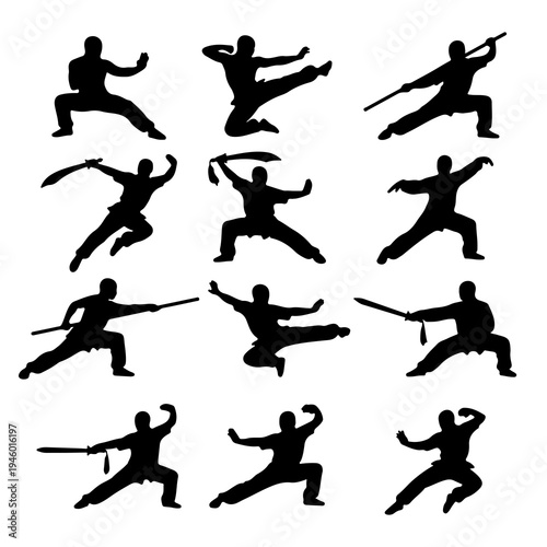 Martial Arts Kung Fu and Karate Action Poses Silhouette