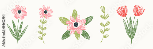 Minimal contemporary abstract flower collection. Hand-drawn ink wild flowers set. Vector illustration.  Plant art in charcoal or crayon drawing style. Pencil-drawn floral elements.