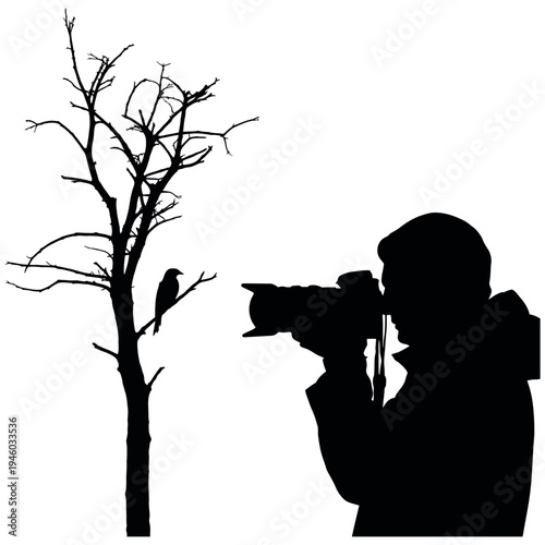 A photographer takes a picture of a bird in a bare tree