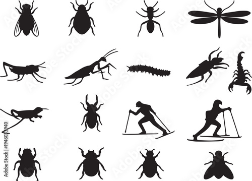 Diverse silhouettes of insects and arthropods in various forms