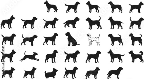 Collection of dog breed silhouettes isolated on white background, various canine poses and standing shapes, domestic pet vector icons set for design