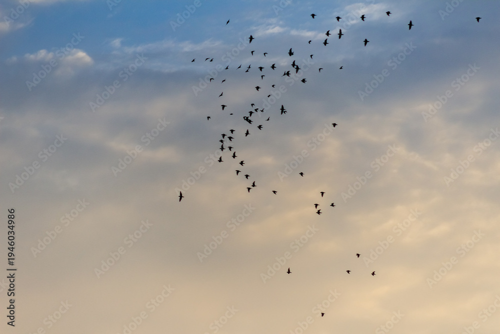 Obraz premium beautiful sky and clouds at sunset