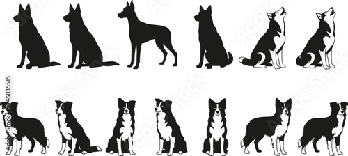 Dog silhouette and border collie illustration set showing sitting, standing and howling poses in domestic pet animal icon collection isolated on white background