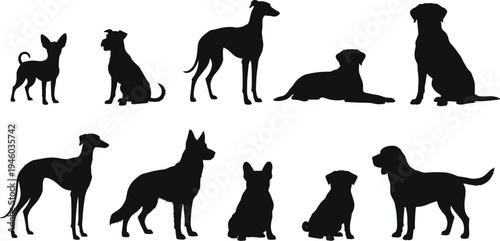 Dog silhouette collection showing different breeds sitting standing and lying poses domestic pet animals isolated black vector set for design illustration