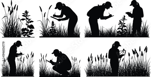 Field researcher studying plants silhouette collection, botanist scientist examining grass and wild plants vector set, ecology research outdoor illustration