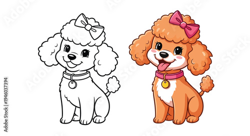 A cute poodle dog shows coloring and colored cartoon versions.