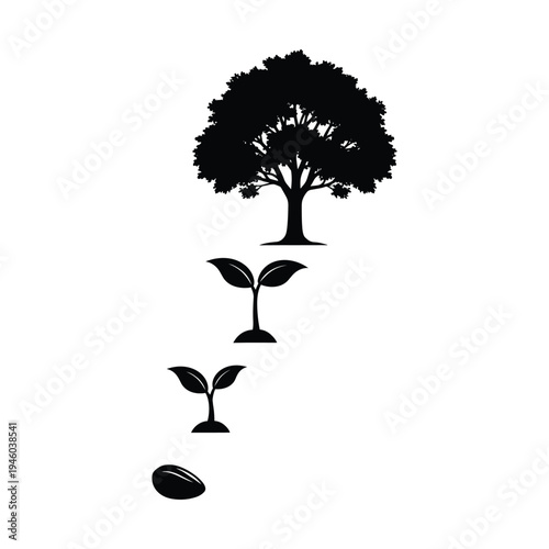 Silhouette illustration depicting the life cycle and growth stages of a plant from a seed to a mature tree on a white background.