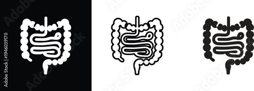 Human Intestine PNG Vector Illustration – Digestive System Gut Icon in Stroke and Solid Fill Style, Medical Anatomy Graphic Isolated on Transparent Background