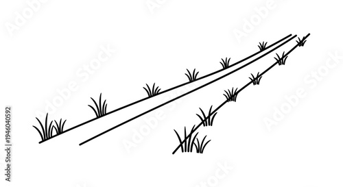 Rolling hills with barbed wire fence and wild grass