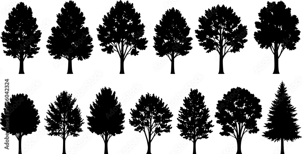 Fototapeta premium various deciduous trees silhouettes on the white background