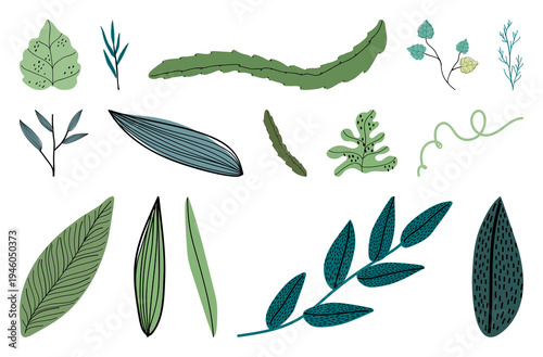 PNG Colorful abstract botanical illustrations element set on transparent background