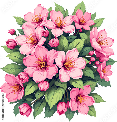 Pink spring blossom bush with lush flowers and green leaves isolated on white background decorative flowering plant illustration for garden design and seasonal decoration