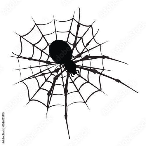 Black Spider on a Spider Web Silhouette on white background
