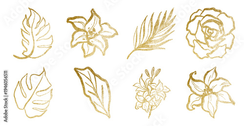 PNG Elegant golden leaf illustrations element set on transparent background