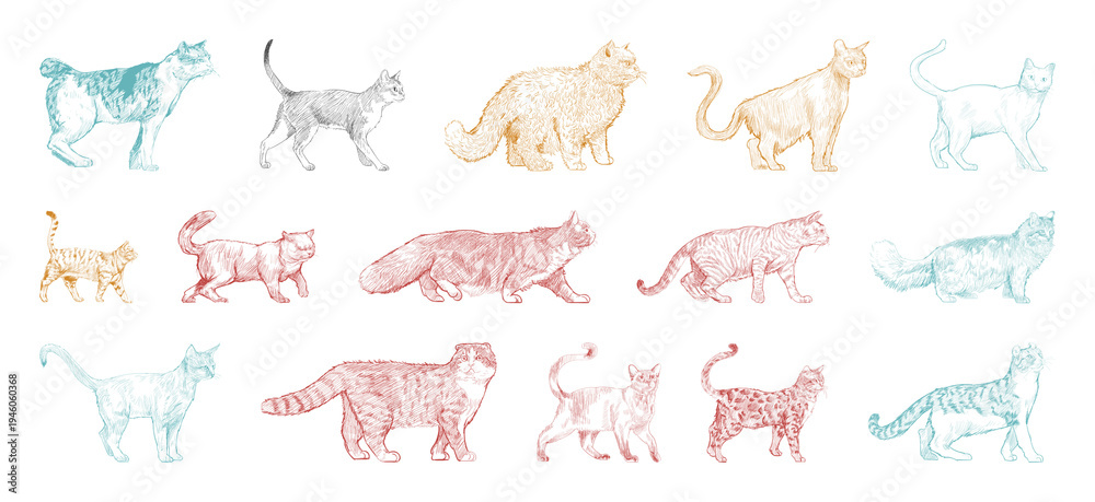 Obraz premium PNG Colorful silhouette cats pattern element set on transparent background