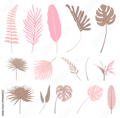 PNG Elegant pastel botanical illustrations element set on transparent background