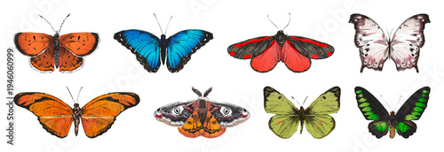 PNG Colorful butterflies collection illustration on transparent background
