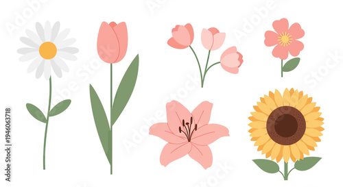A charming assortment of colorful floral illustrations featuring various blossoms and spring elements for design projects