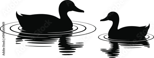 Black silhouette ducks swimming on water with ripples and reflections, parent and offspring nature vector illustration artwork design